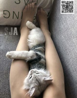 回娘家中字_1080P动漫免费观看